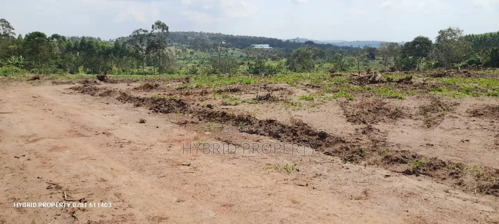 Prime Plots for Sale at Namayumba~Kyampisi Divine Estate V.