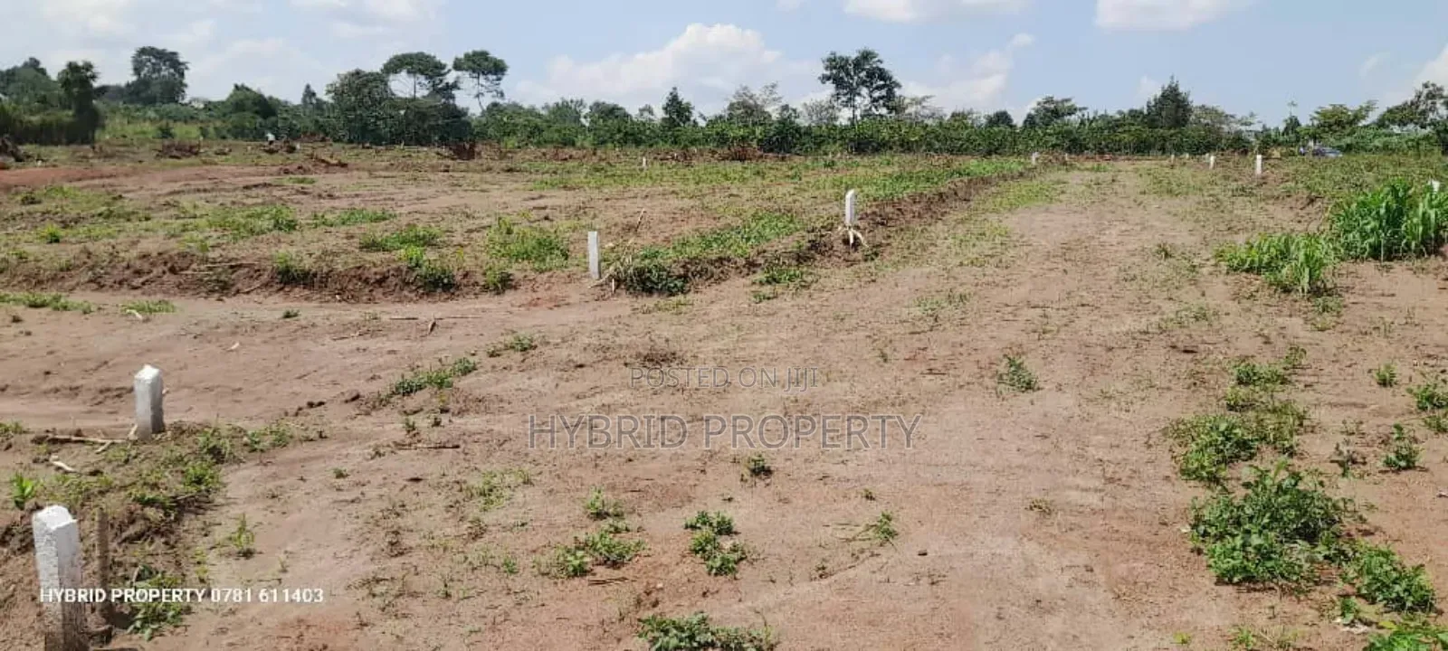 Prime Plots for Sale at Namayumba~Kyampisi Divine Estate V.