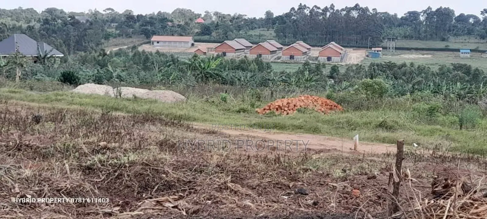 Prime Plots For Sale At Namayumba Town Divine Land Estate V.