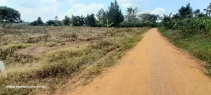 Prime Plots For Sale At Namayumba Town Divine Land Estate V.
