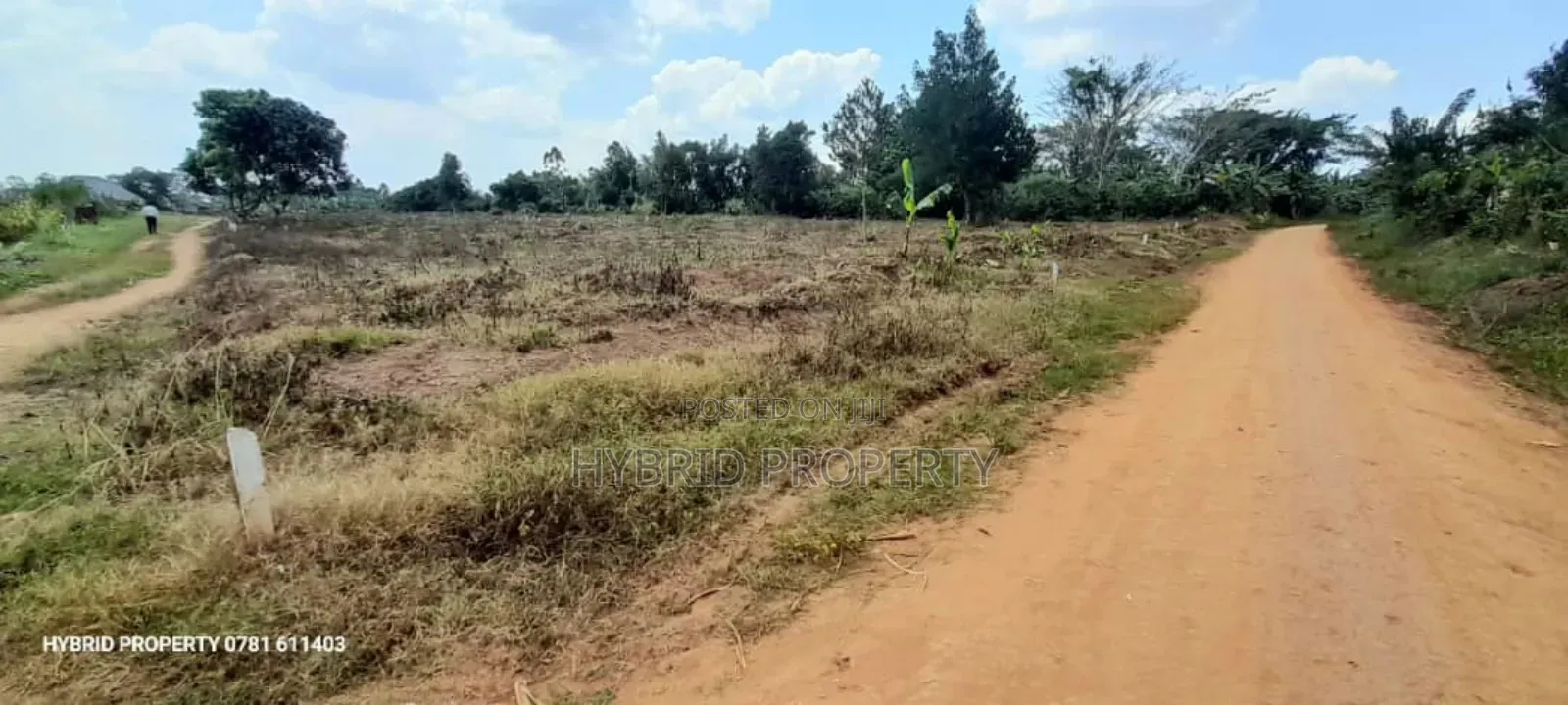 Prime Plots For Sale At Namayumba Town Divine Land Estate V.