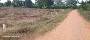 Prime Plots For Sale At Namayumba Town Divine Land Estate V.