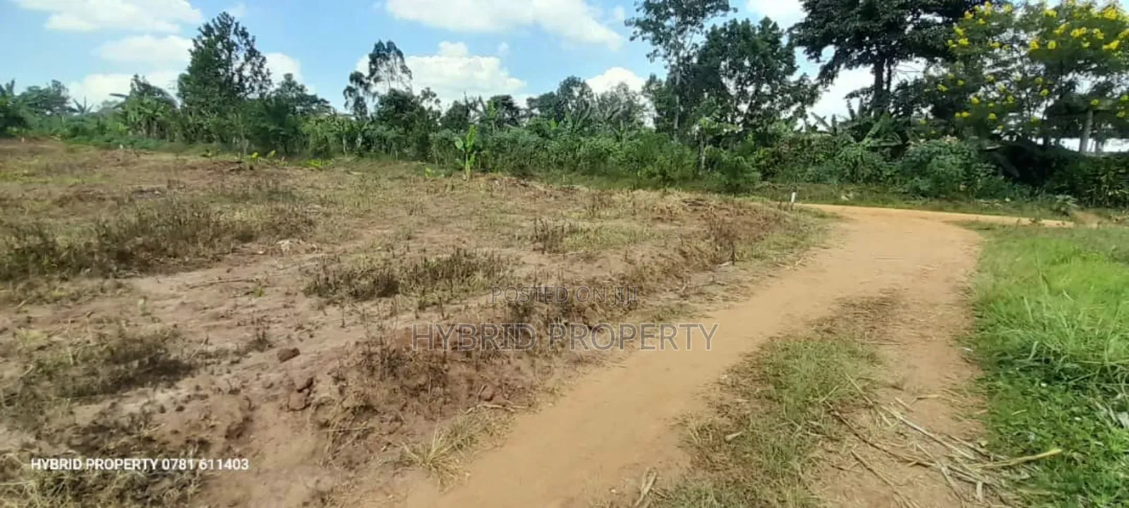 Prime Plots For Sale At Namayumba Town Divine Land Estate V.