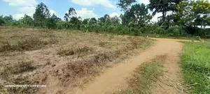Prime Plots For Sale At Namayumba Town Divine Land Estate V.