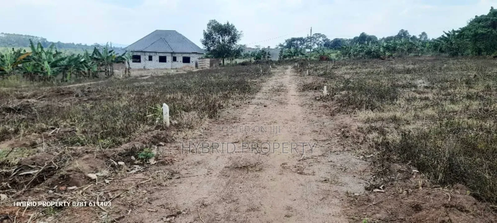 Prime Plots For Sale At Namayumba Town Divine Land Estate V.