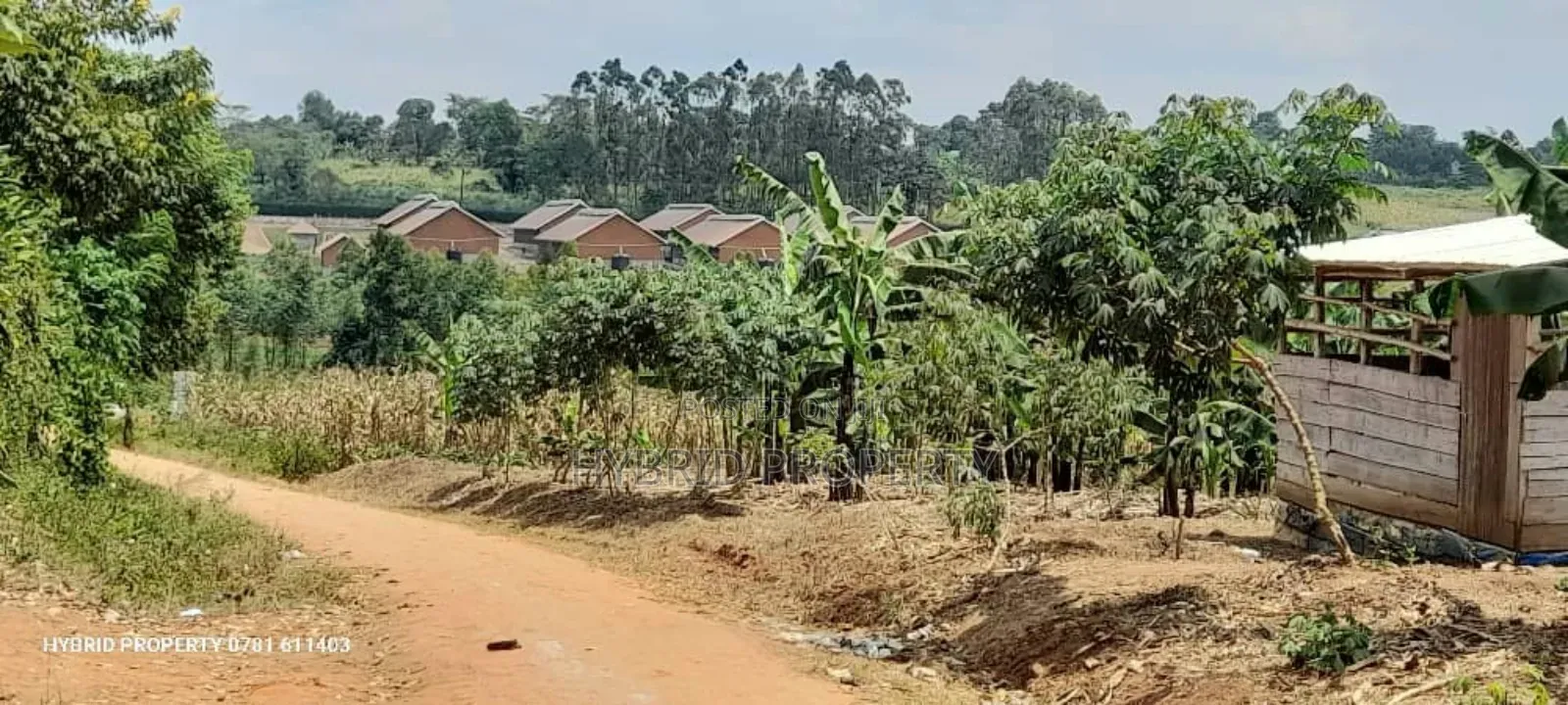 Prime Plots For Sale At Namayumba Town Divine Land Estate V.