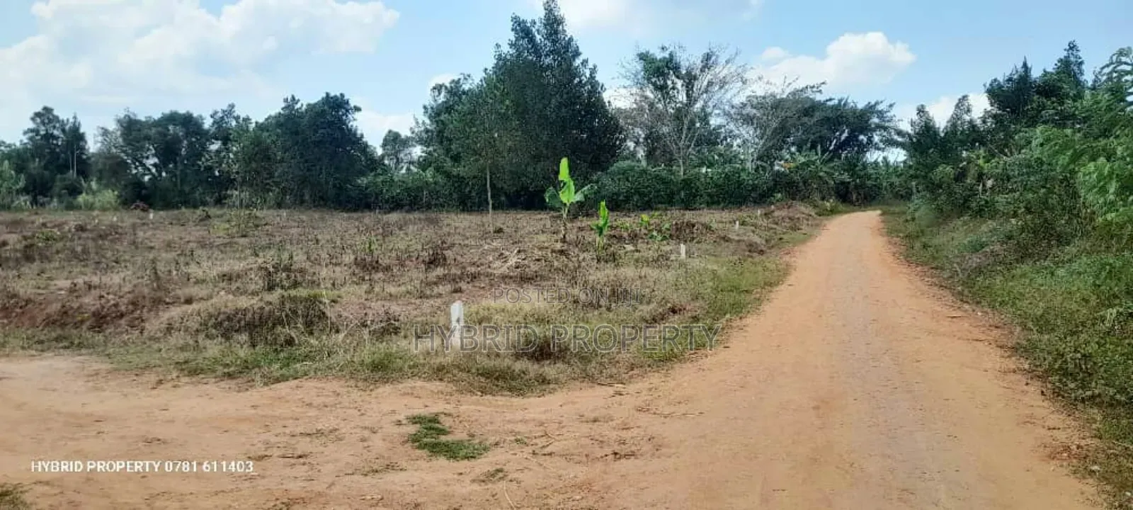 Prime Plots For Sale At Namayumba Town Divine Land Estate V.