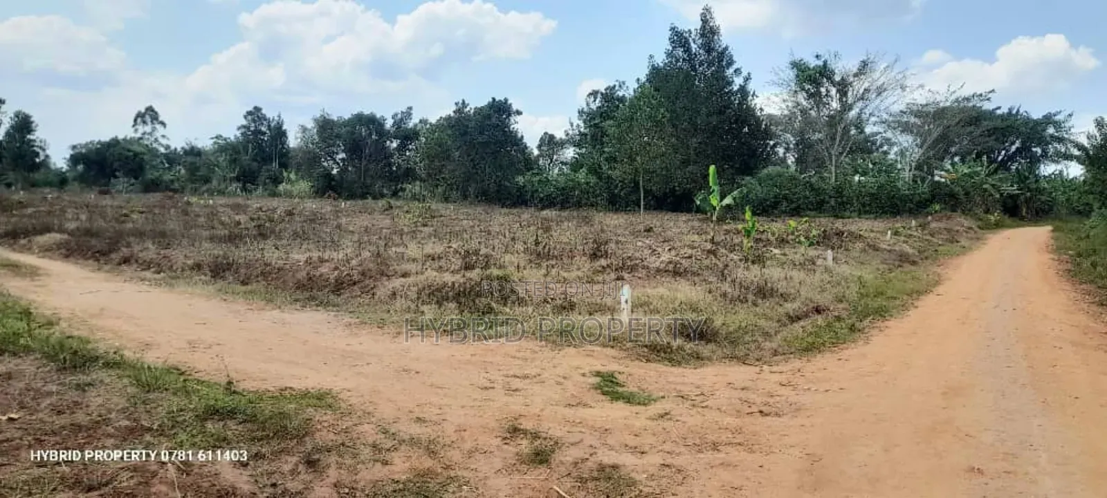 Prime Plots For Sale At Namayumba Town Divine Land Estate V.