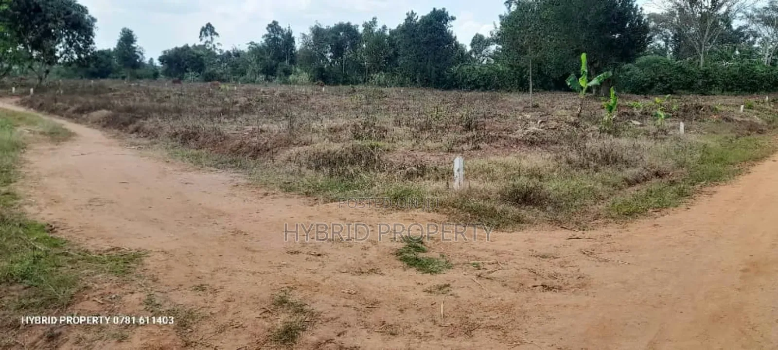 Prime Plots For Sale At Namayumba Town Divine Land Estate V.