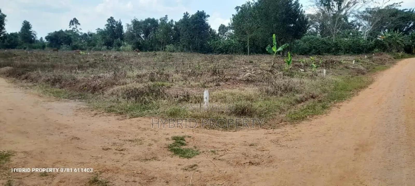 Prime Plots For Sale At Namayumba Town Divine Land Estate V.