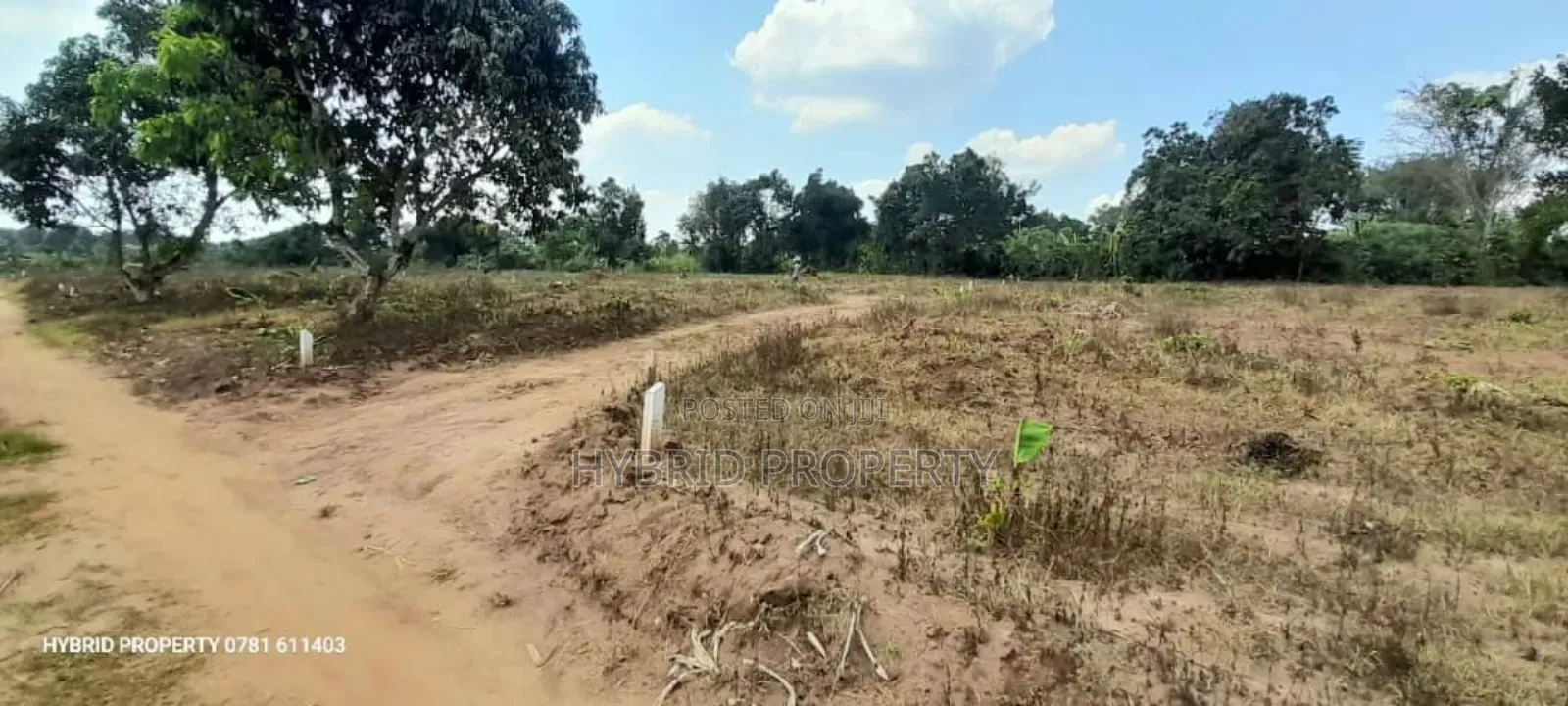 Prime Plots For Sale At Namayumba Town Divine Land Estate V.