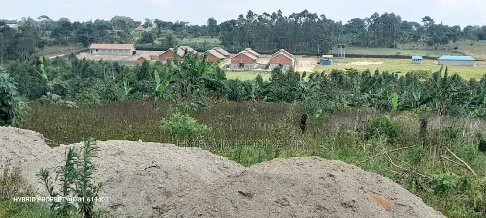 Prime Plots For Sale At Namayumba Town Divine Land Estate V.
