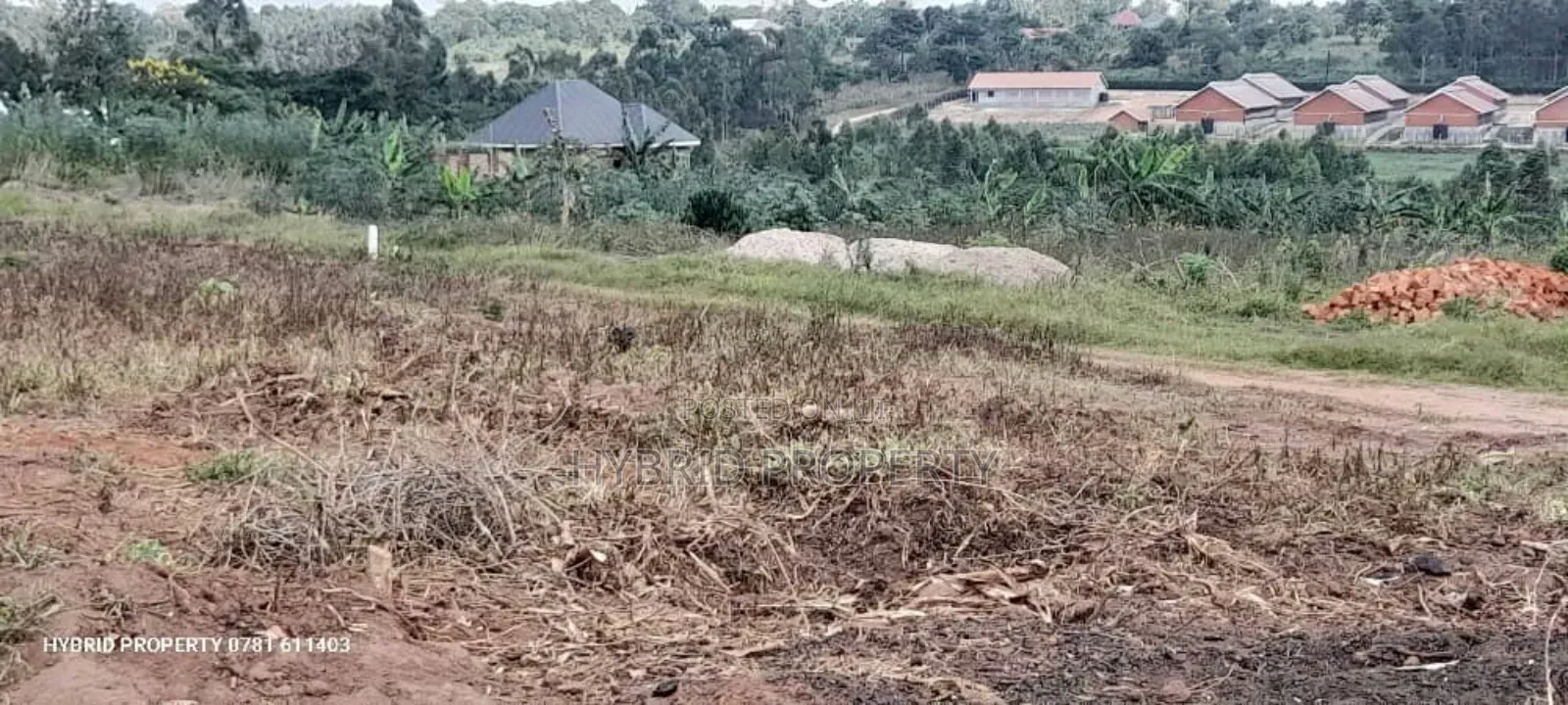 Prime Plots For Sale At Namayumba Town Divine Land Estate V.