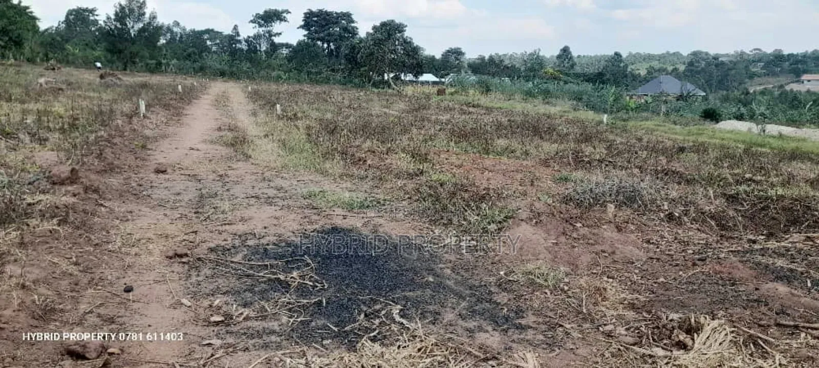 Prime Plots For Sale At Namayumba Town Divine Land Estate V.