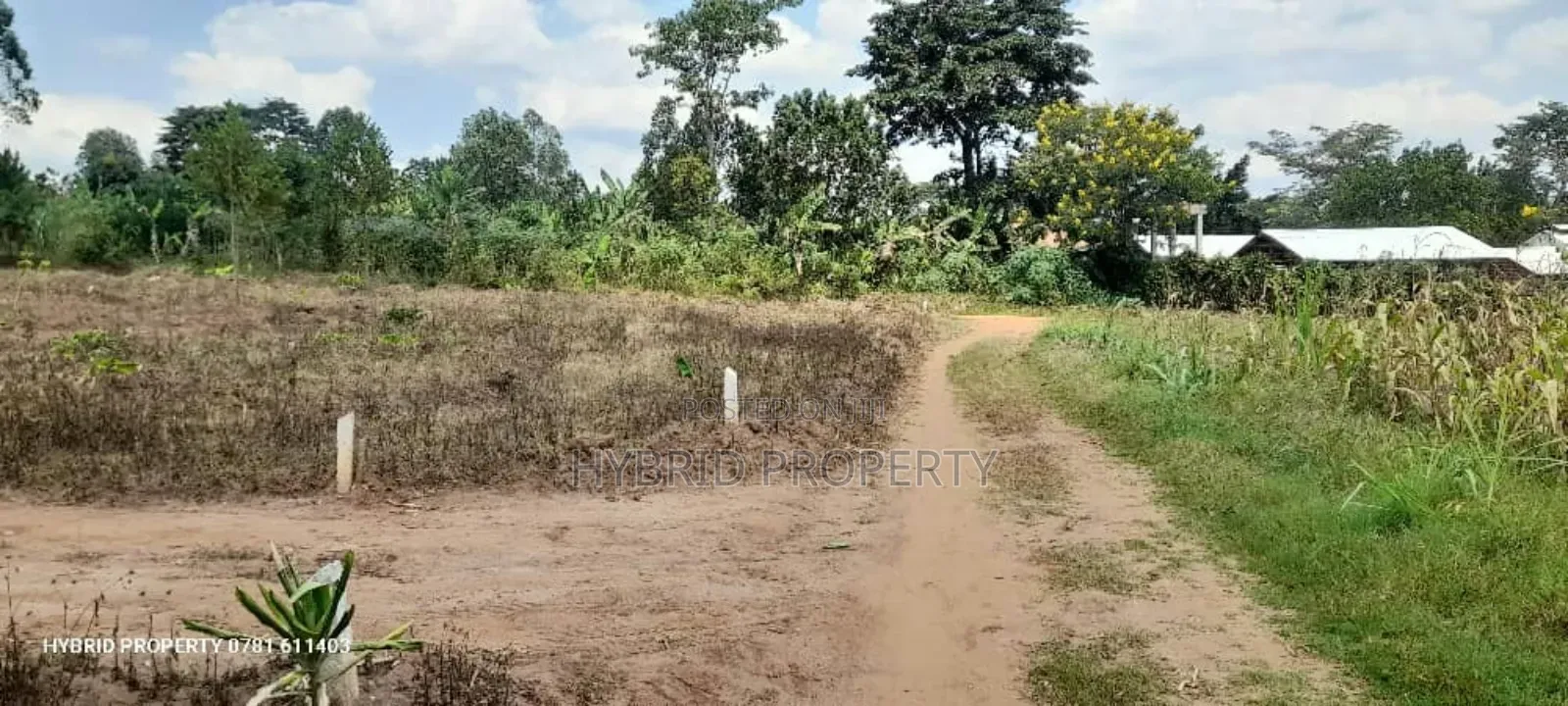 Prime Plots For Sale At Namayumba Town Divine Land Estate V.