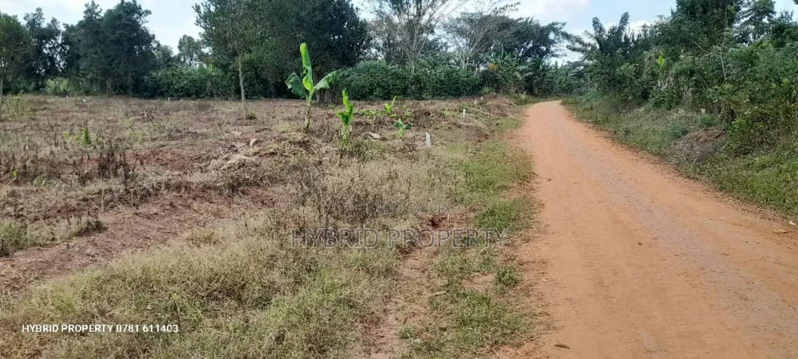 Prime Plots For Sale At Namayumba Town Divine Land Estate V.