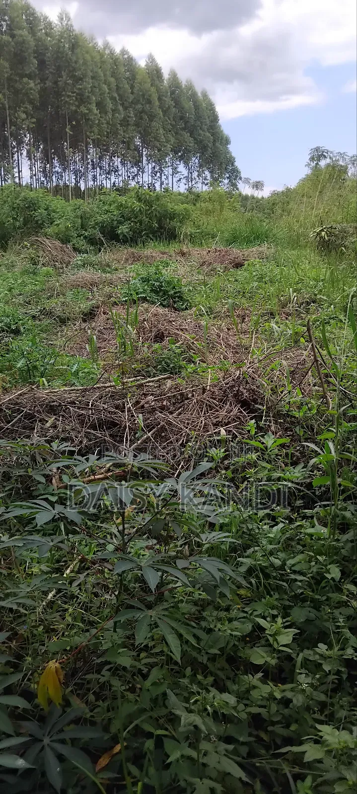 22 Acres of Land in Kabagore , Mityana District