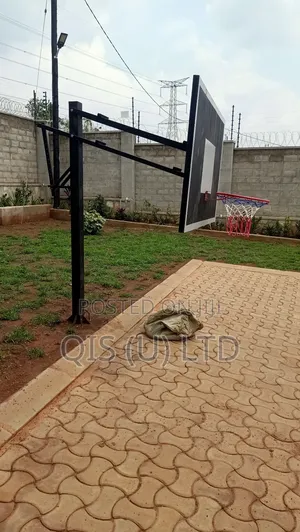 Adjustable Basketball Hoop - Standard