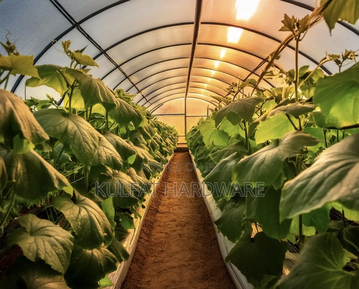 Polyethylene Green House Cover