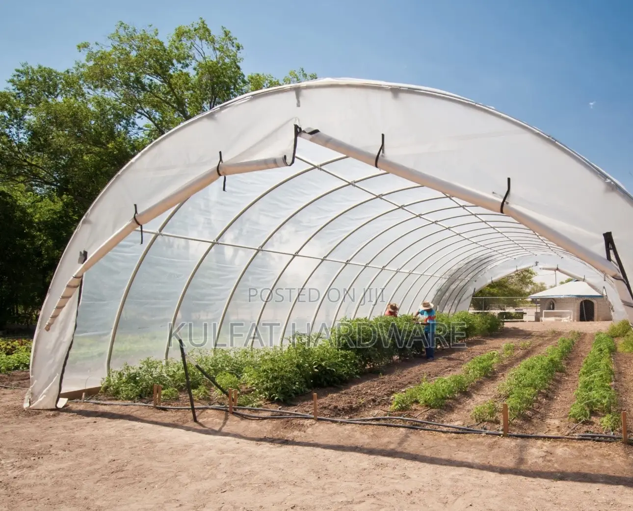 Polyethylene Green House Cover