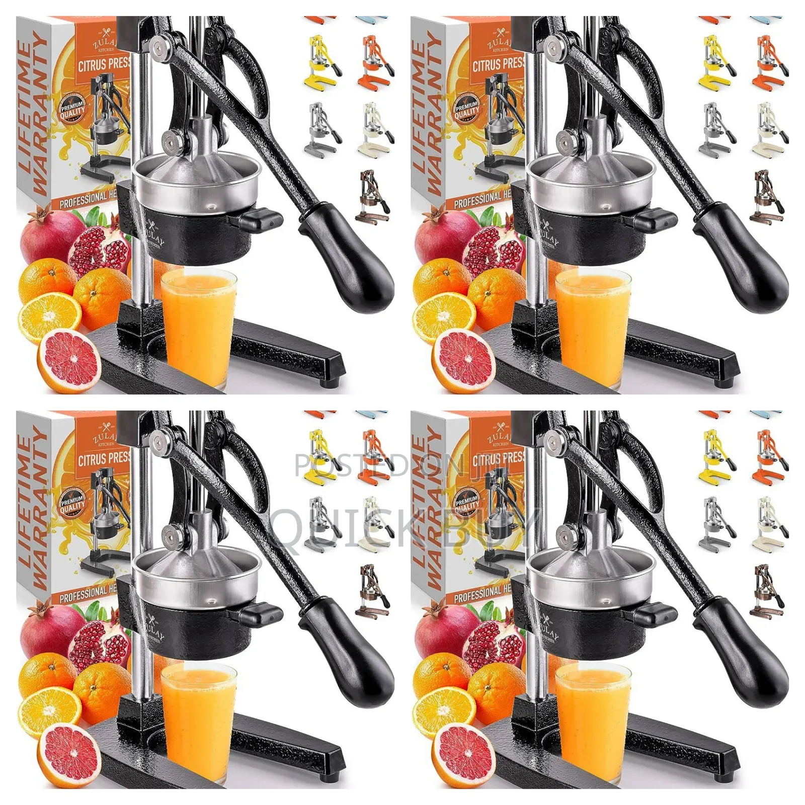 Professional Citrus Press Machine