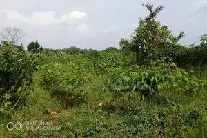 Photo - 104 Acres of Land Available for Rent in Kayonza in Kayunga