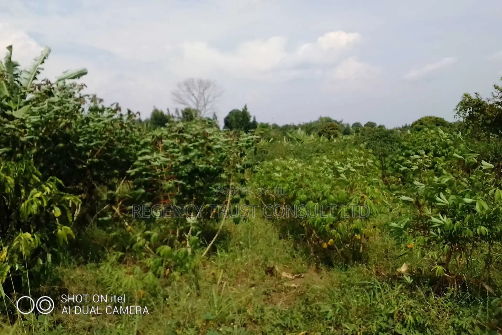 104 Acres of Land Available for Rent in Kitwe in Kayunga