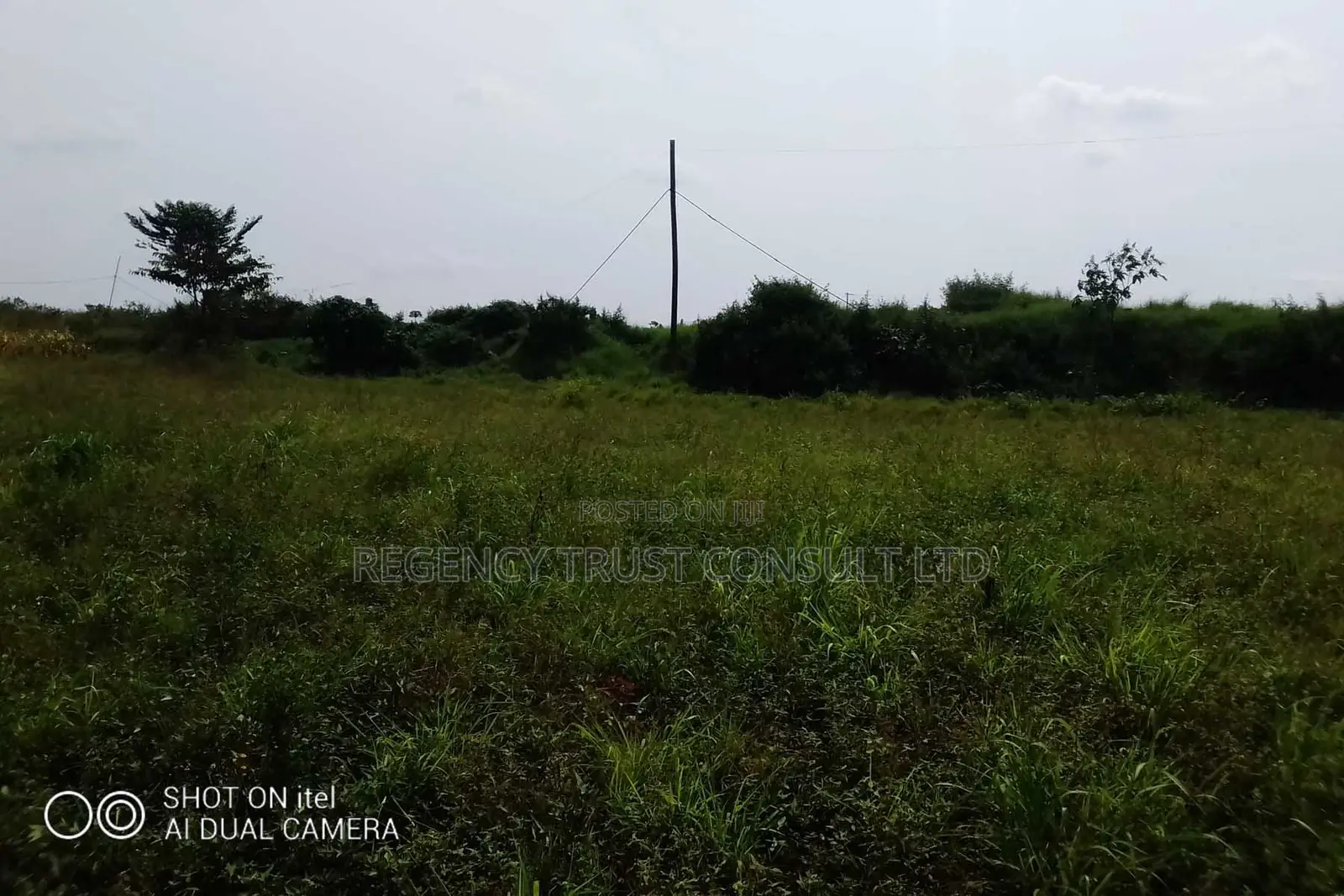 104 Acres of Land Available for Rent in Kitwe in Kayunga