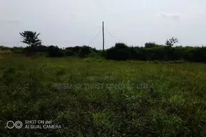 104 Acres of Land Available for Rent in Kitwe in Kayunga