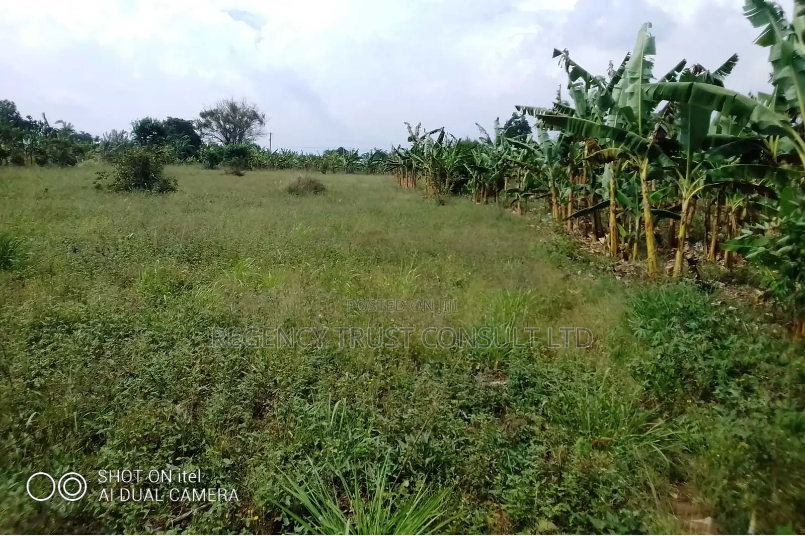 104 Acres of Land Available for Rent in Kitwe in Kayunga