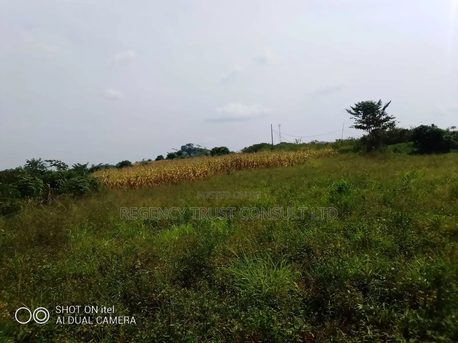 104 Acres of Land Available for Rent in Kitwe in Kayunga