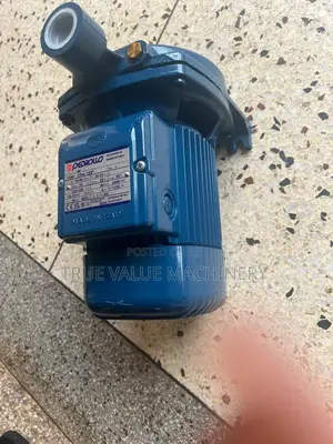 Surface Electric Pump 0.75kw 36m