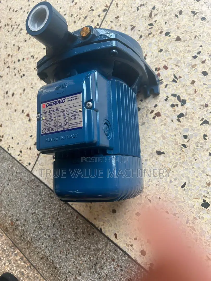 Surface Electric Pump 0.75kw 36m