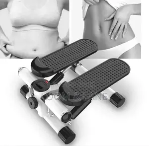 Sunny Health Fitness Mini Stepper for Exercise