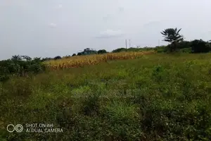 Photo - 64 Acres of Land Available for Rent in Kitwe, Kayunga