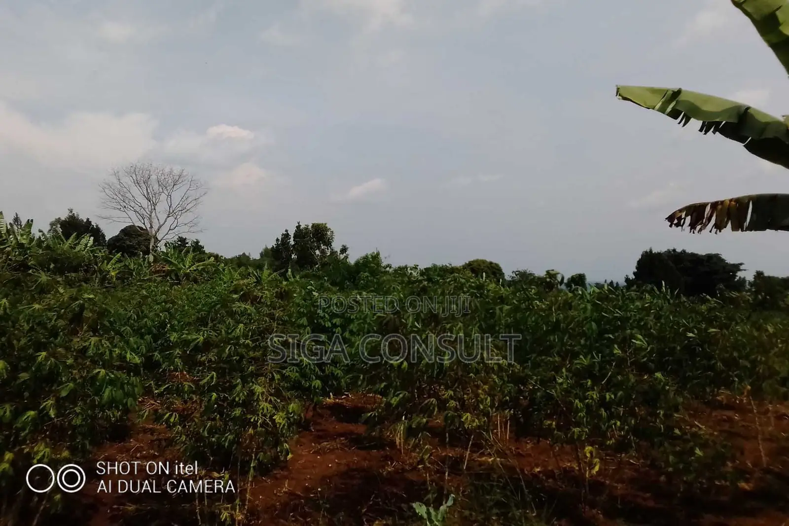 64 Acres of Land Available for Rent in Kitwe, Kayunga