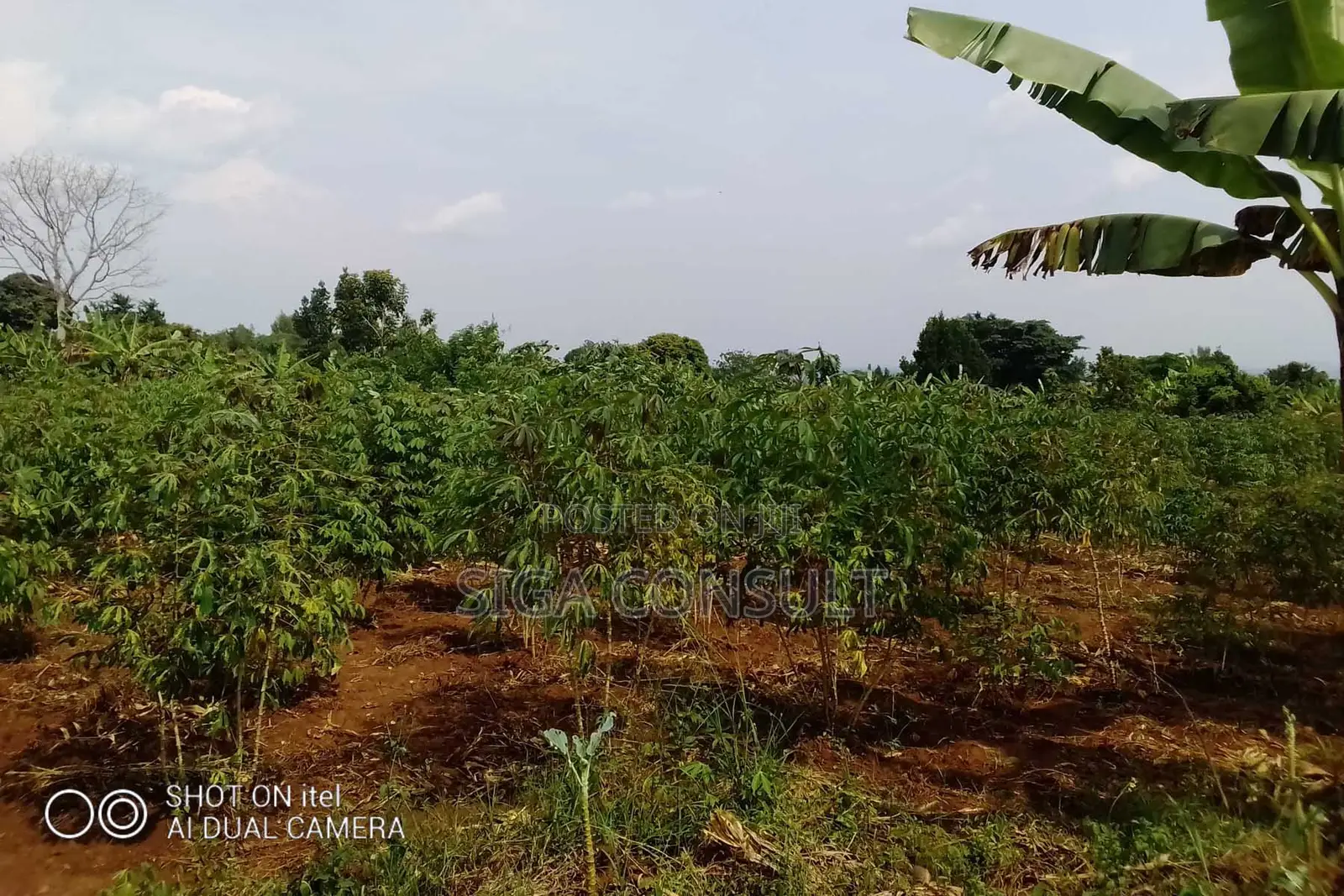 64 Acres of Land Available for Rent in Kitwe, Kayunga