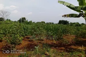 64 Acres of Land Available for Rent in Kitwe, Kayunga