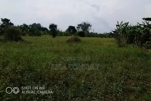 64 Acres of Land Available for Rent in Kitwe, Kayunga
