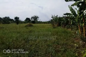 64 Acres of Land Available for Rent in Kitwe, Kayunga