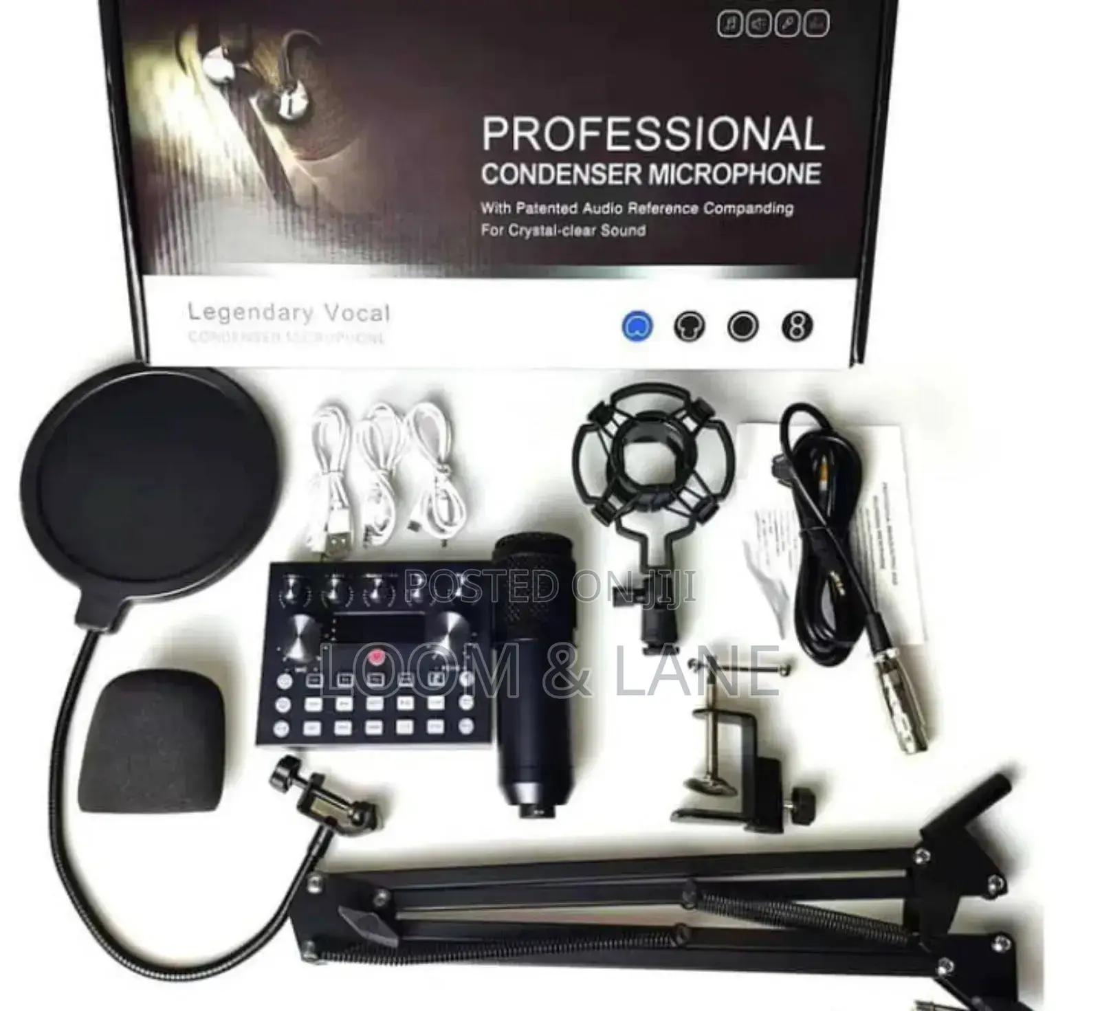 Professional Condenser Microphone V10