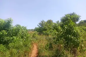 600 Acres of Farming Land Available for Rent in Bbaale, Kayunga