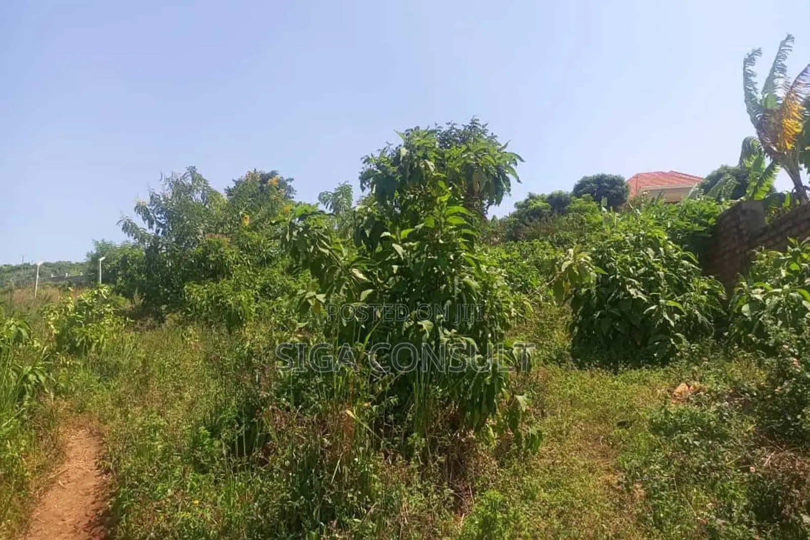 600 Acres of Farming Land Available for Rent in Bbaale, Kayunga