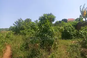 600 Acres of Farming Land Available for Rent in Bbaale, Kayunga