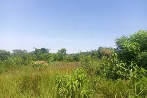 600 Acres of Farming Land Available for Rent in Bbaale, Kayunga