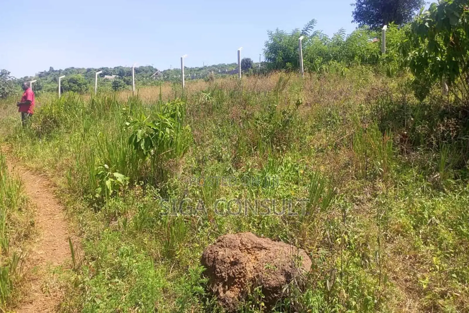 600 Acres of Farming Land Available for Rent in Bbaale, Kayunga