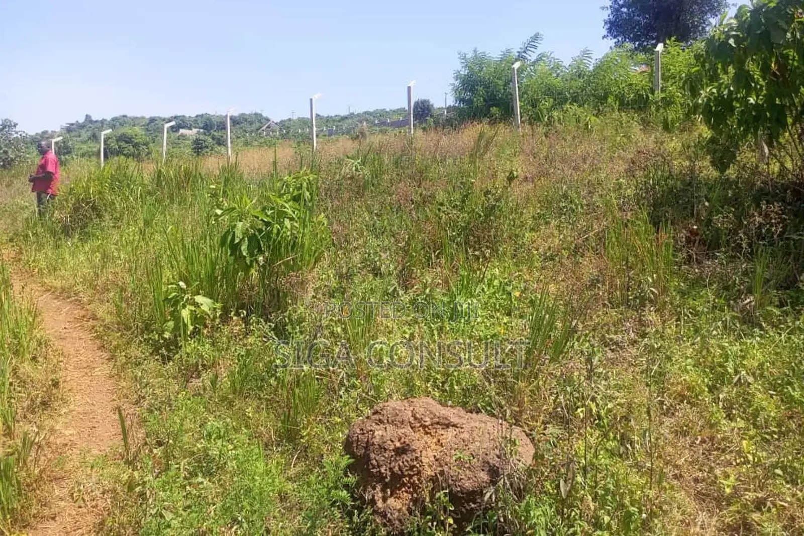 600 Acres of Farming Land Available for Rent in Bbaale, Kayunga