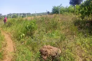 600 Acres of Farming Land Available for Rent in Bbaale, Kayunga