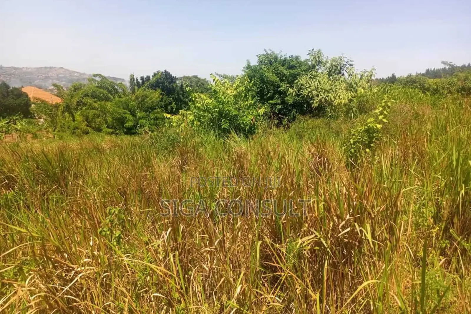 600 Acres of Farming Land Available for Rent in Bbaale, Kayunga