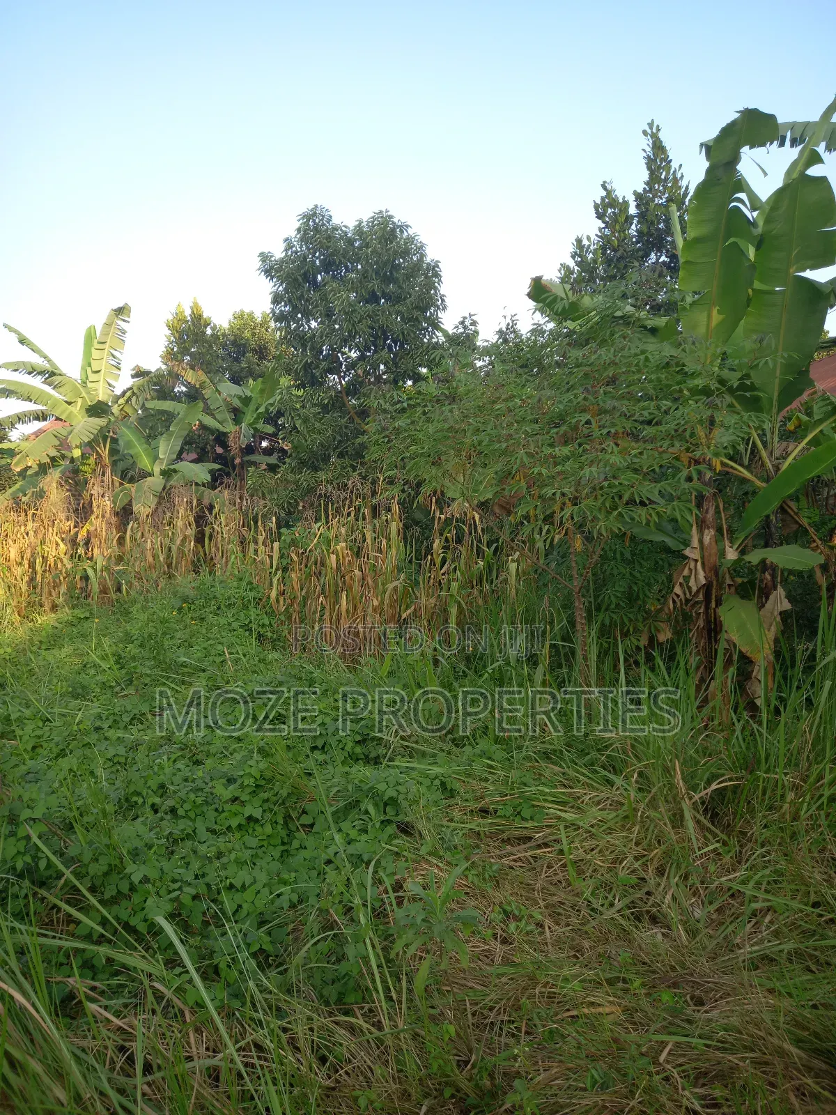 50x100 for Sale in Bweyogerere Kiwanga.